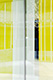Yellow Curtain